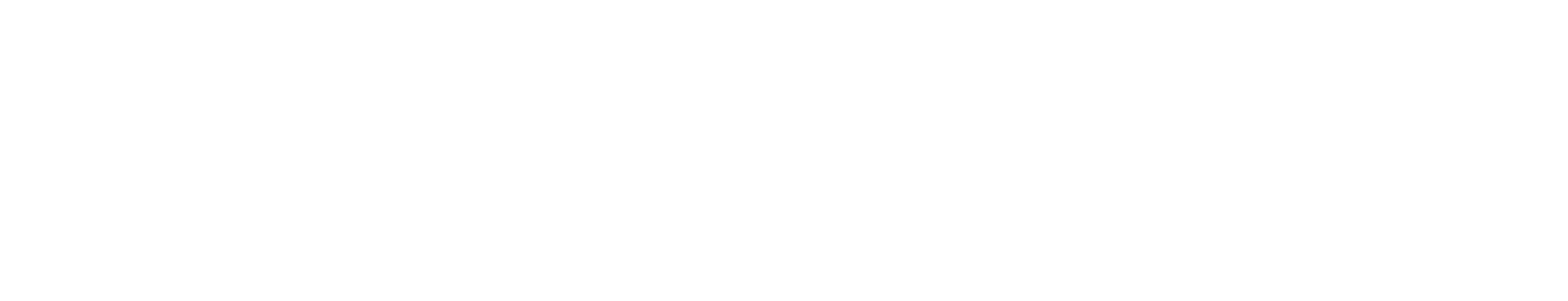 Lifespan Financial Planning Logo (for dark background)
