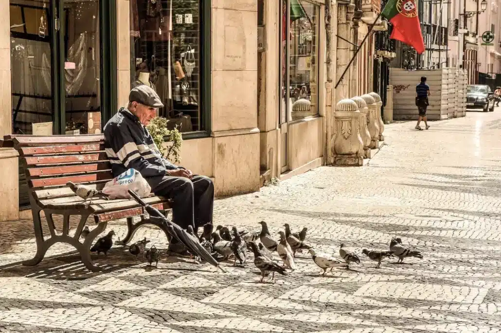 Old man sitting on a wooden bench while feeding pigeons.