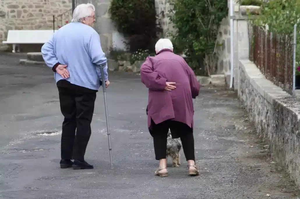 Senior couple walking together with their dog.
