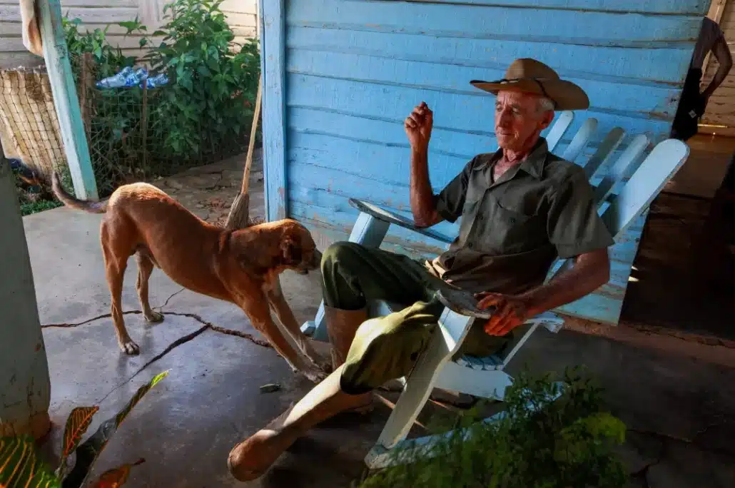 Senior man sitting on a rocking chair with a dog.