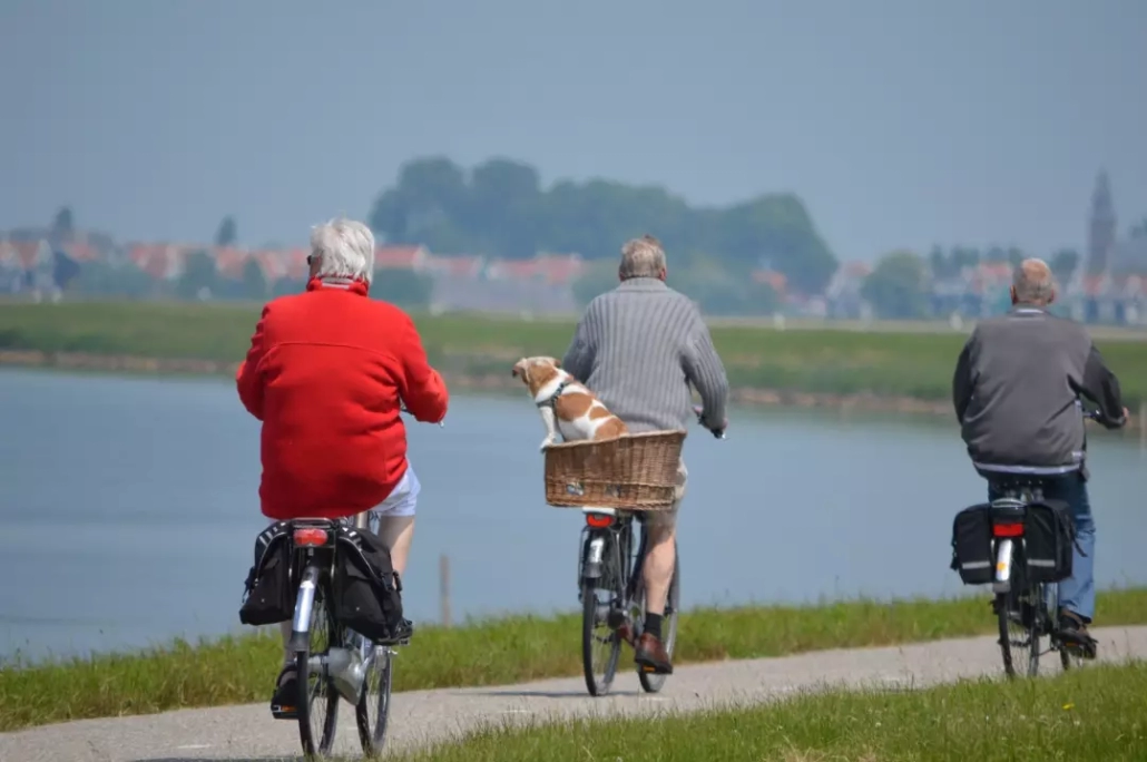 Three old man biking together near the lake.